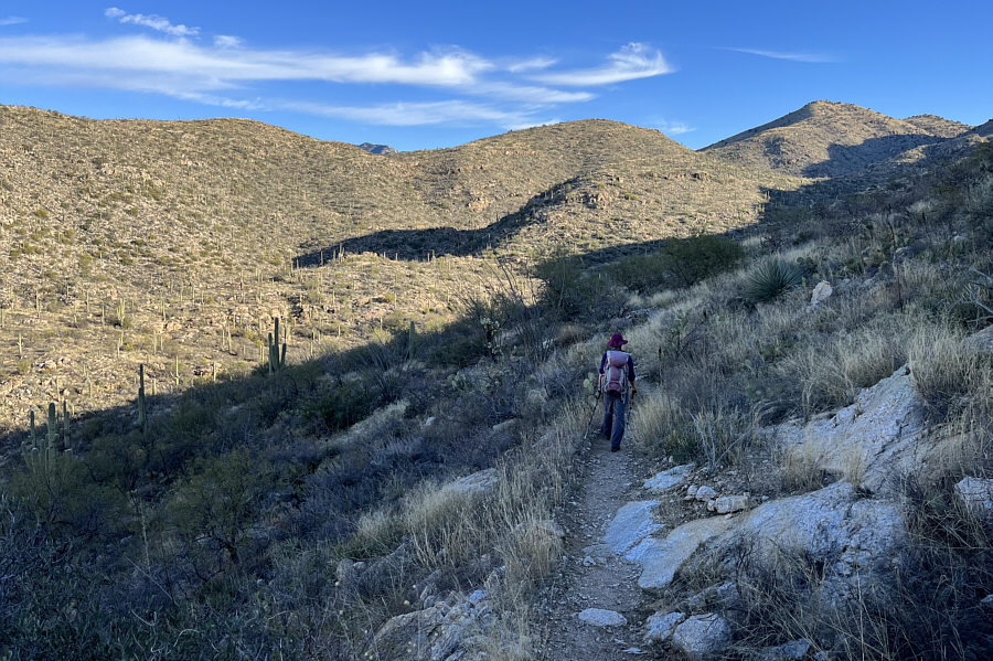 A few ups and downs before we get there!