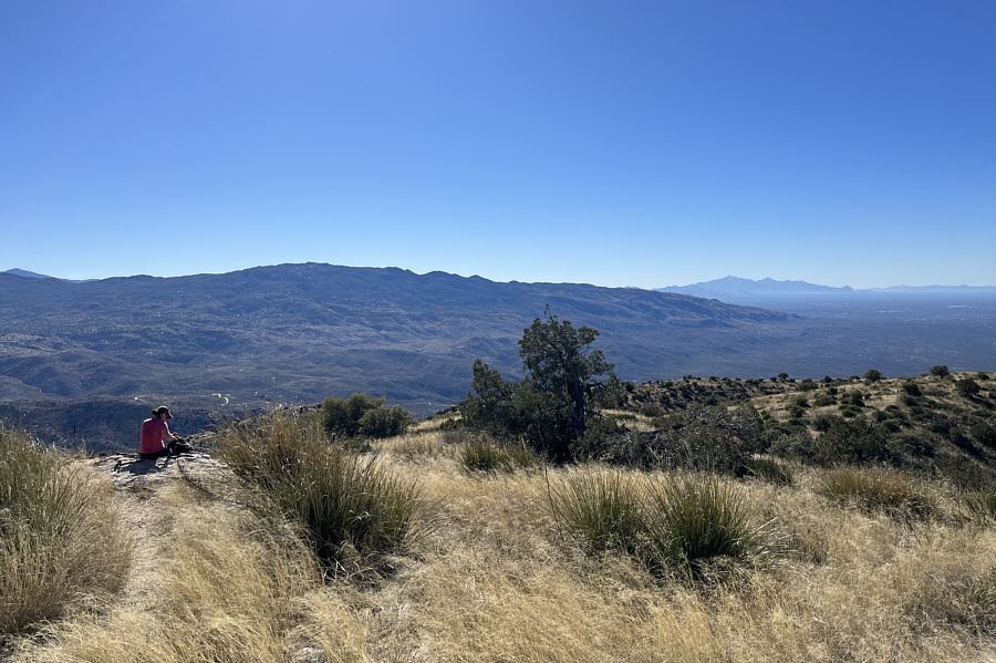 Tanque Verde Peak was my original objective for this day, but it would have been a brutally long day trip.