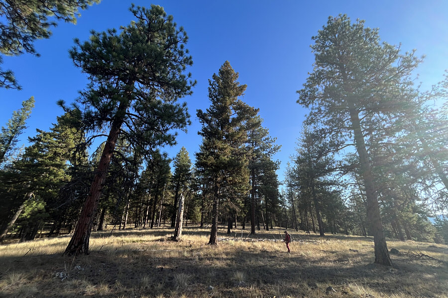 Could be a nice ski in winter if there was enough snow...