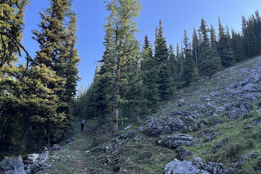 Felt longer coming down than going up!