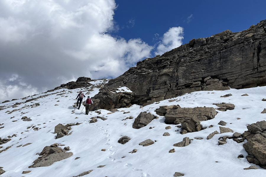 This year, we had summer before spring!