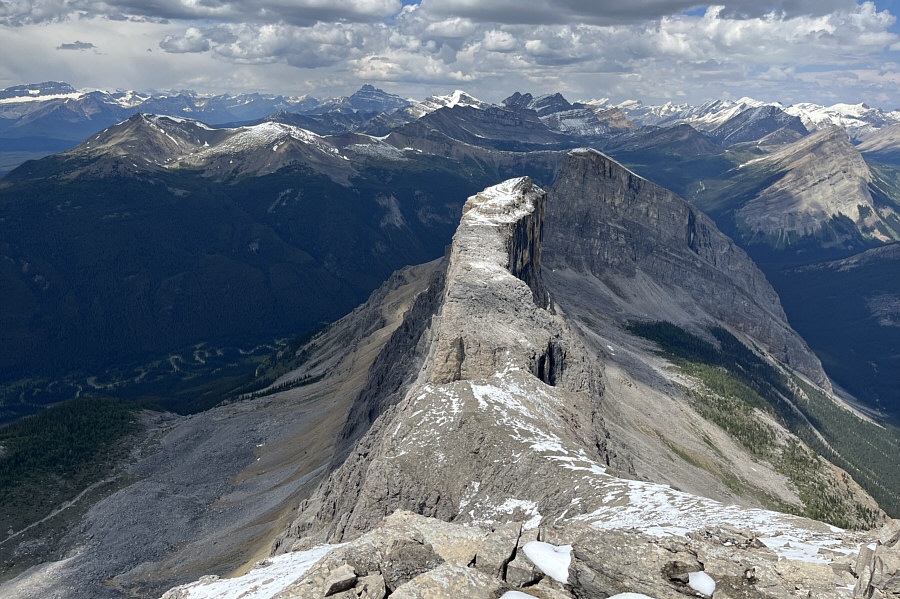 Might have to come back for this one in the future...