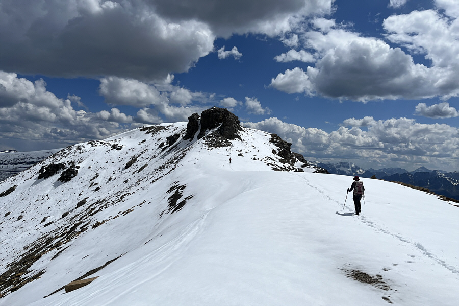 If only we had skis...