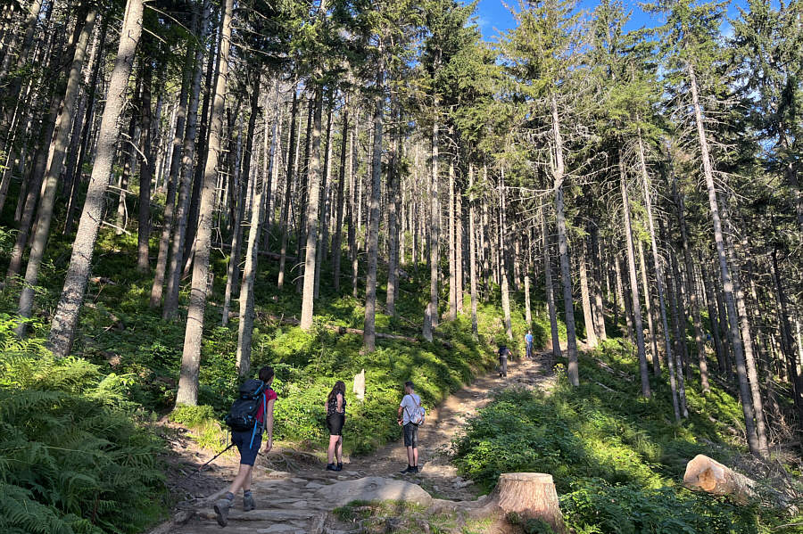 The uphill grind will get you warm pretty quickly.