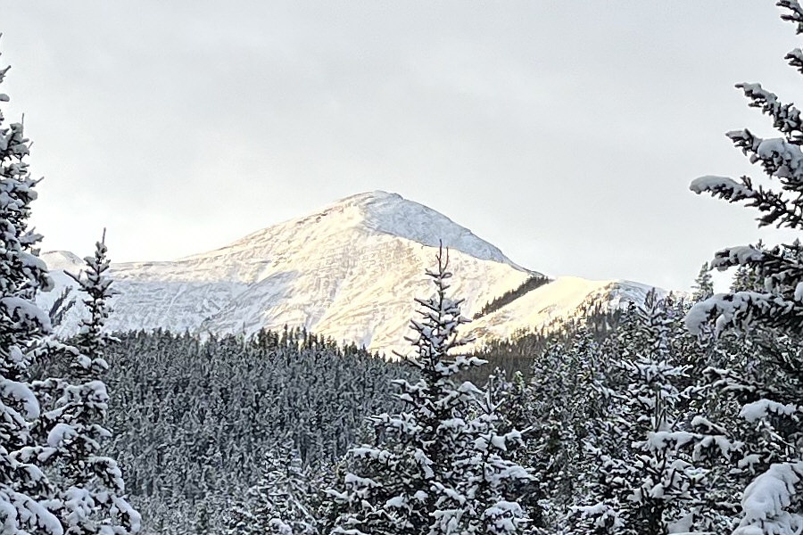 Looks a bit daunting with all the snow...