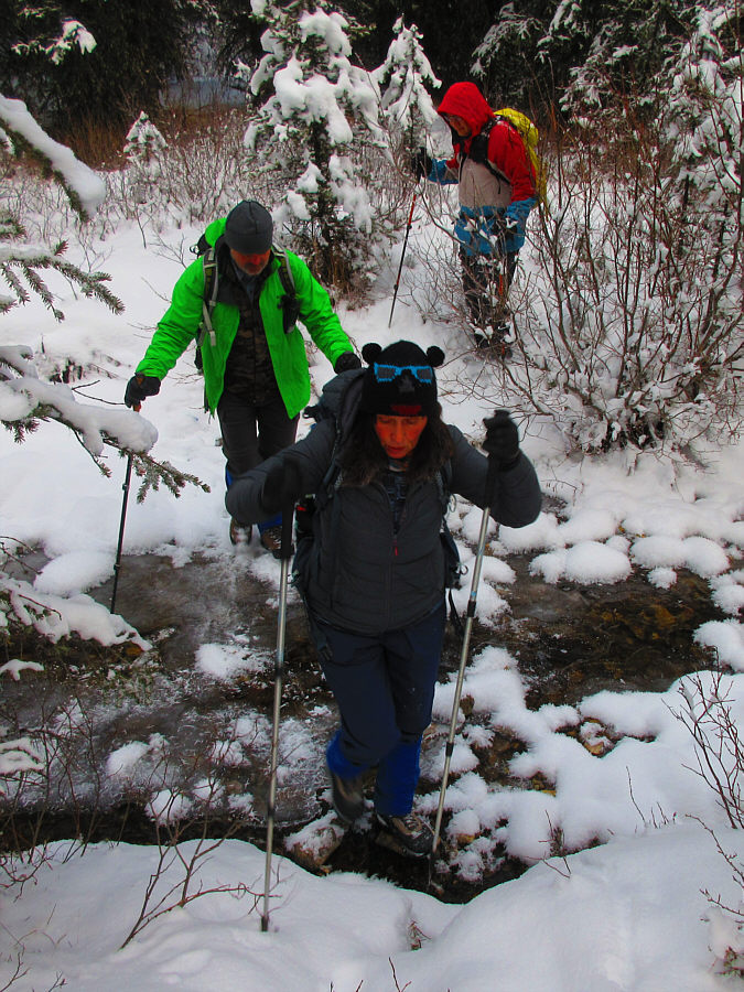 Mostly frozen...mostly!