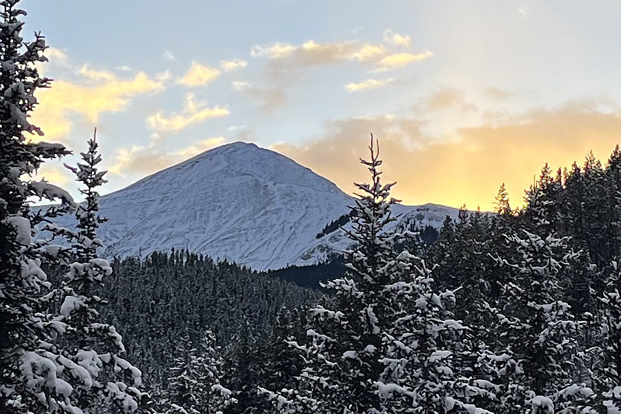 Maybe you can even spot that sheep somewhere up there...