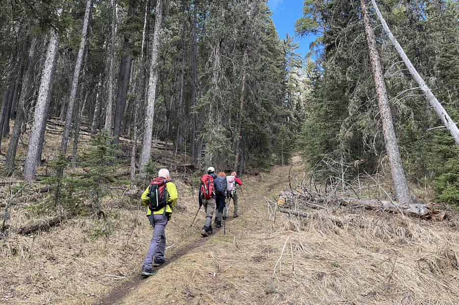 Where did this hill come from?