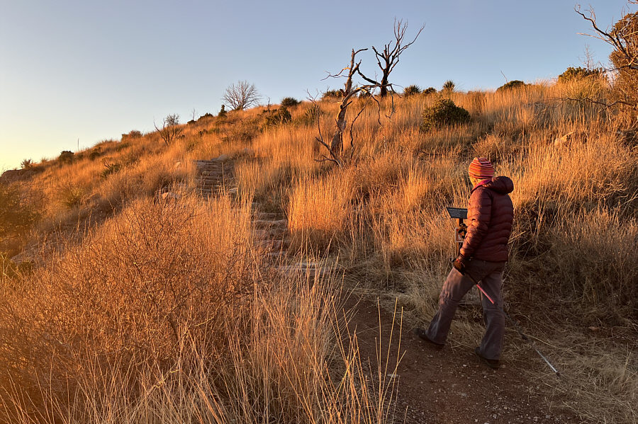The grasses look like they're on fire!