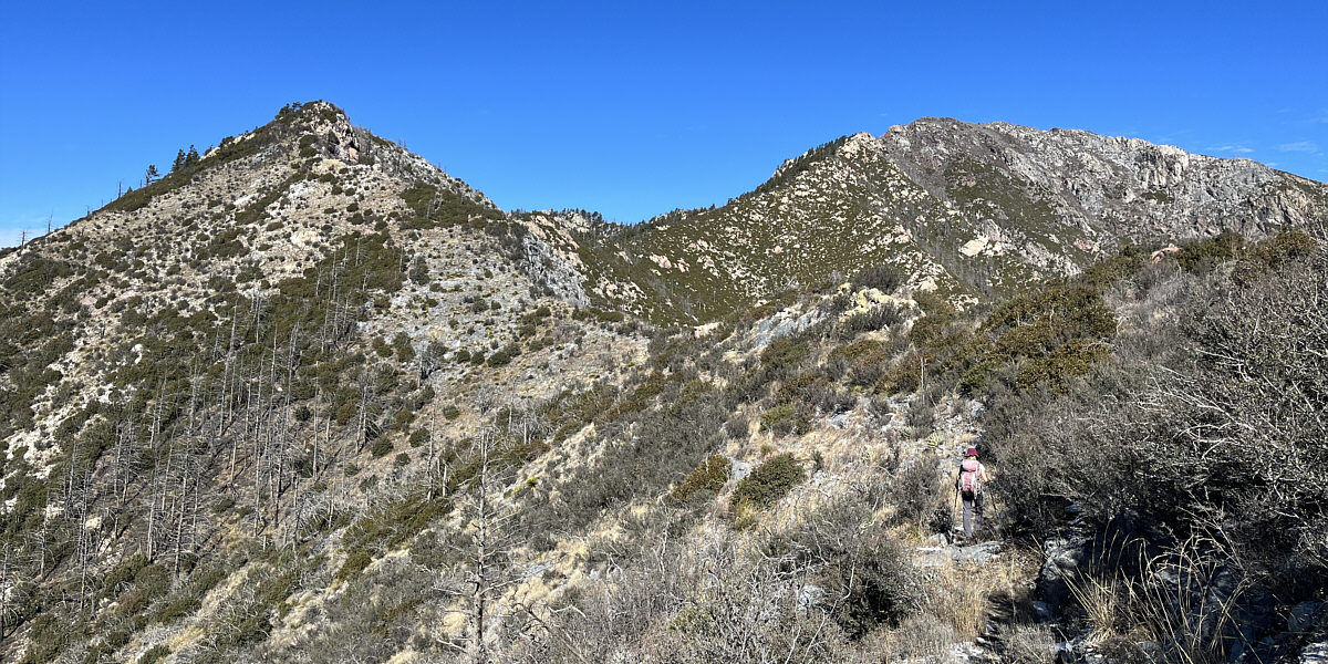 Slowly but surely we're getting there...