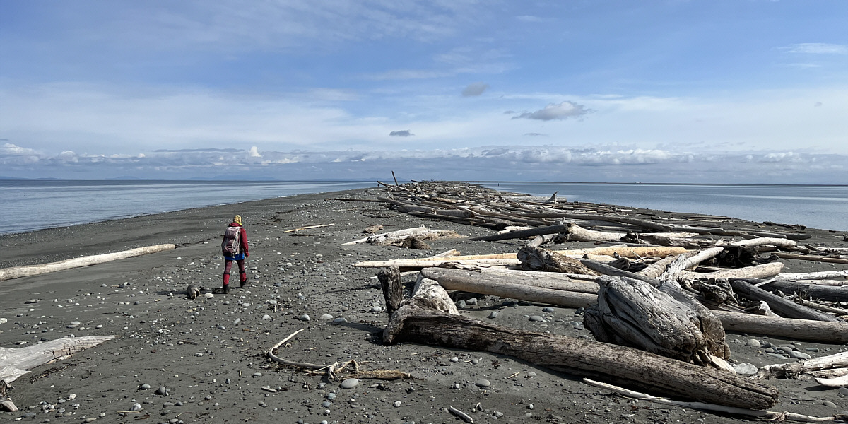 Stay to the left of the driftwood!