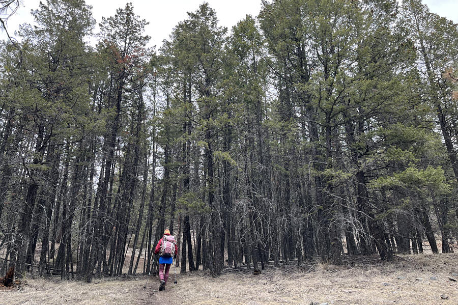 A map helps, but simply go uphill!