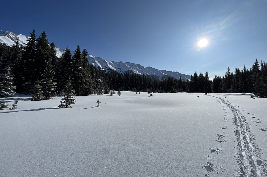 Hard to believe we're still going uphill here!