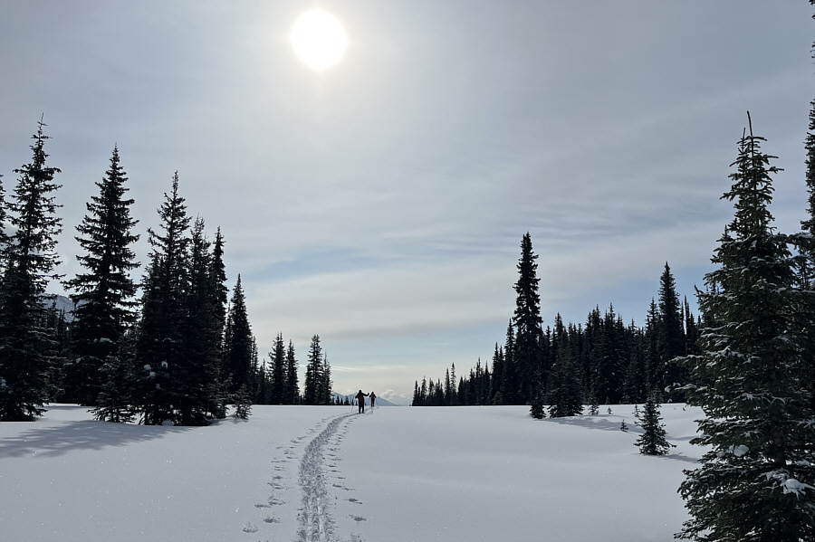 It took us 1.5 hours to travel less than 2 kilometres to the pass after leaving Tyrwhitt trail!