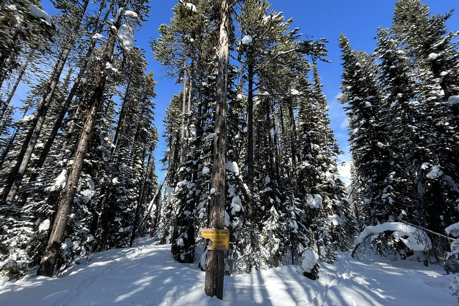 Kind of a cool place to visit despite the lack of views.