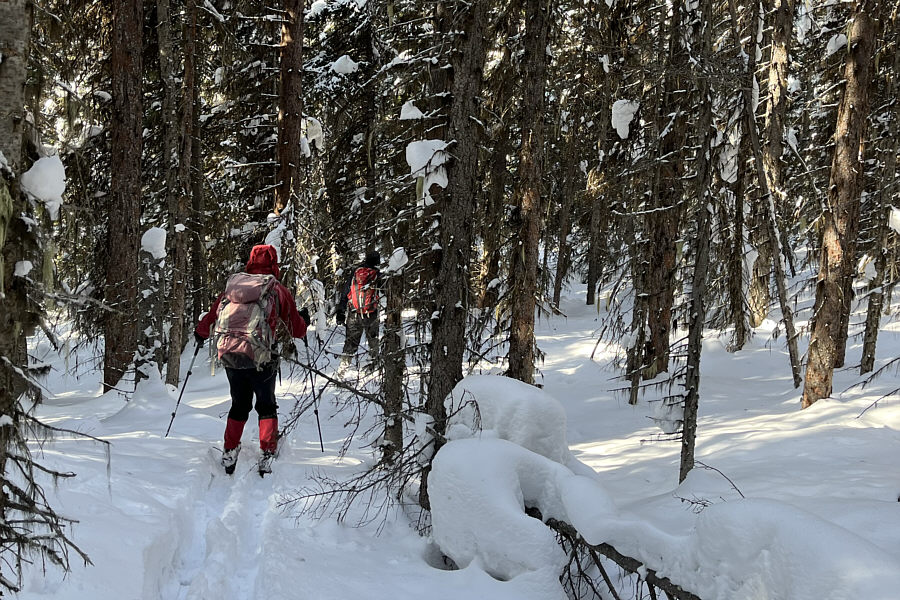 This was actually kinda fun!