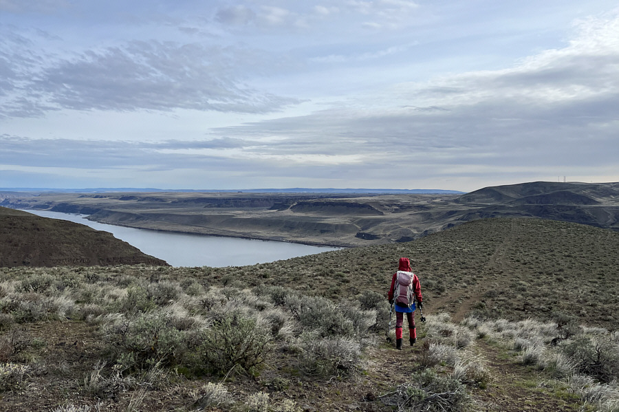 Keep an eye out for a faint trail heading right!