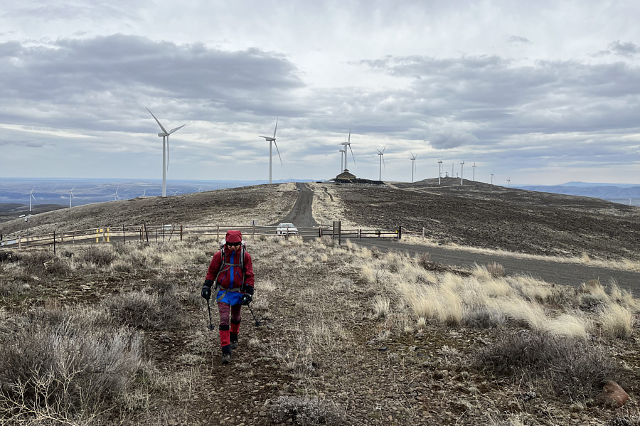 And--surprise, surprise--it's windy!