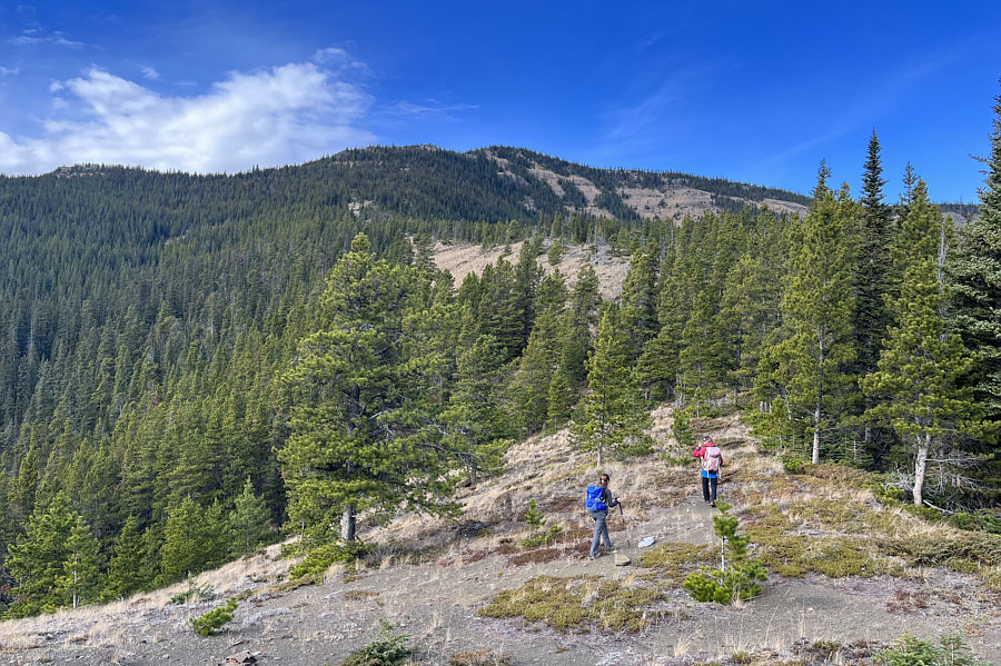 It's a long grind for sure!