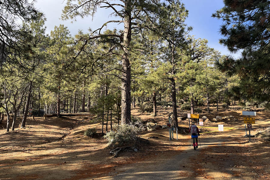 There's a disc golf course nearby in case you don't feel like hiking!