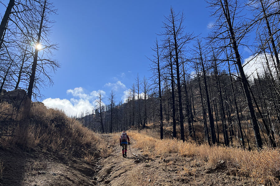 Back in the saddle again!