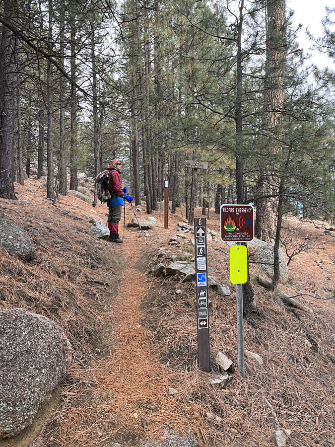 Annoyingly, there's more uphill hiking to come!