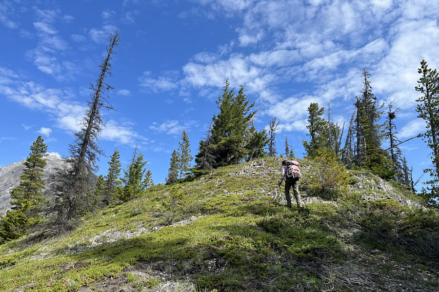 This is after most of the short-lived hard work has been done.