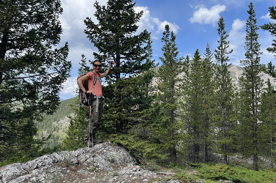 A few more trees need to chopped down here...