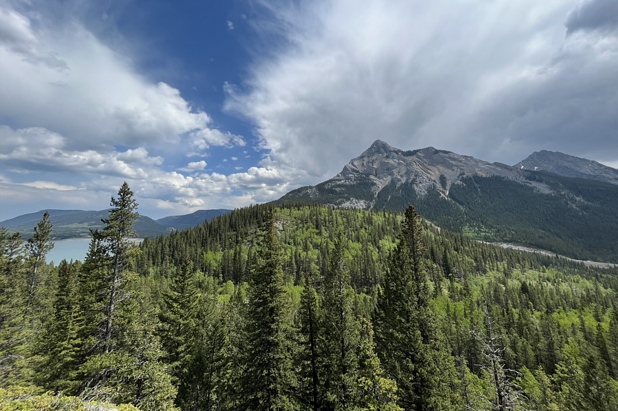 For some reason, the east hill is apparently more popular than the west hill.