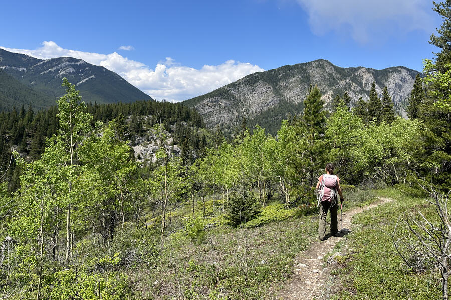 Don't bother going any further than this for the detour.