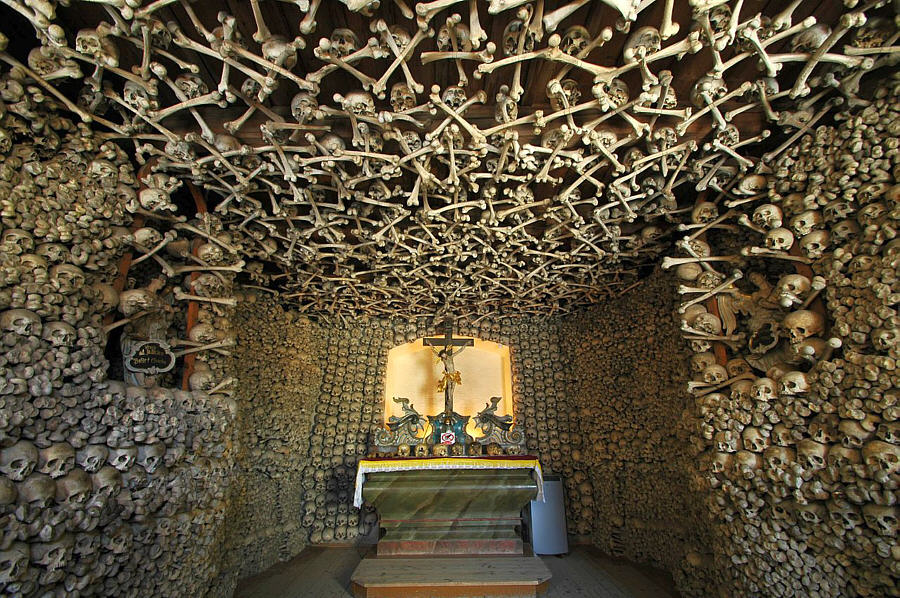 The leg bone's connected to the...hip bone...