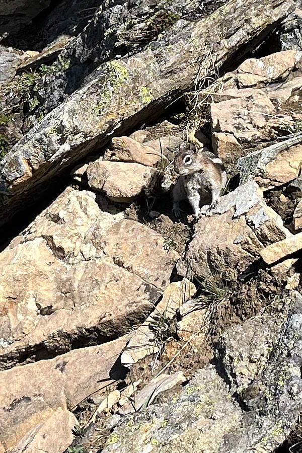 The resident janitor?