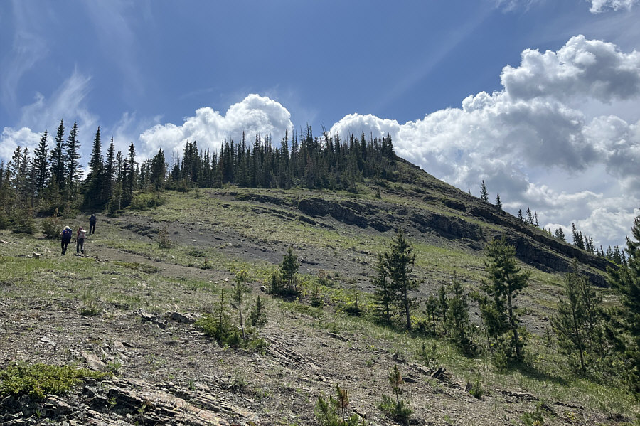 Let's go bag this summit!