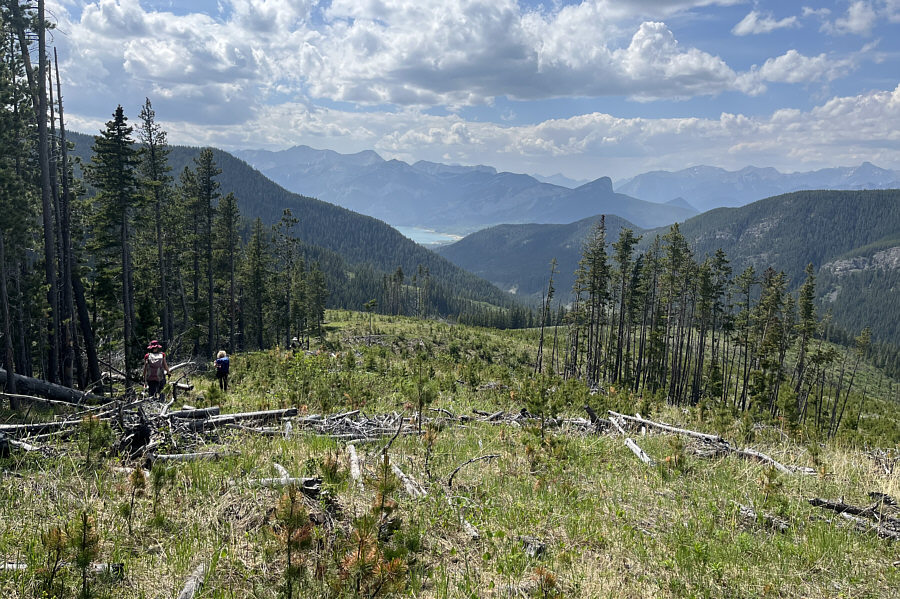 It's best to exit the ridge to the left somewhere along here.