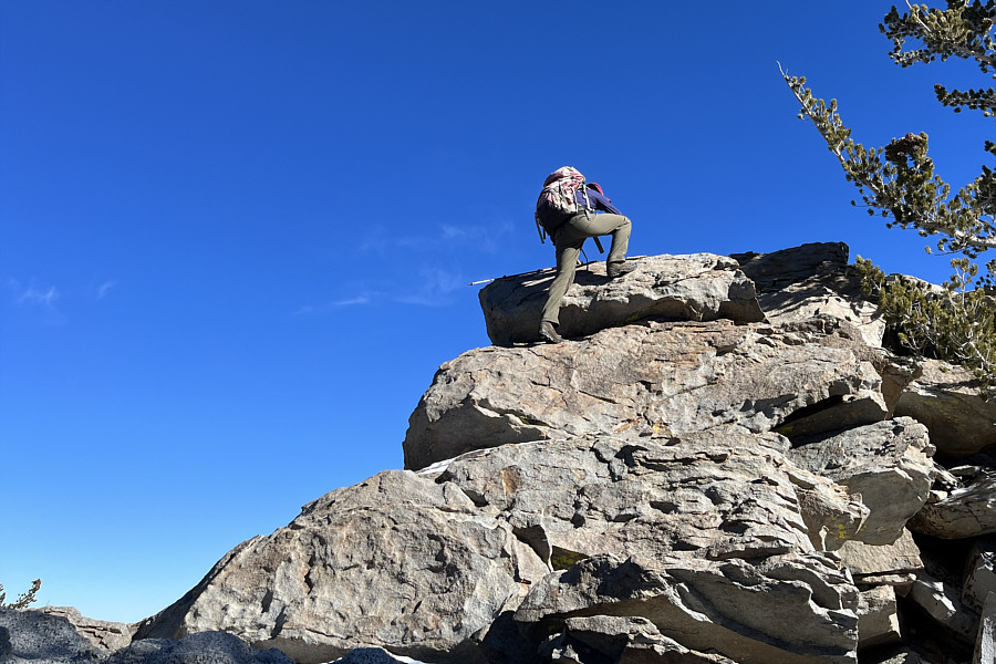 Delightful scrambling!