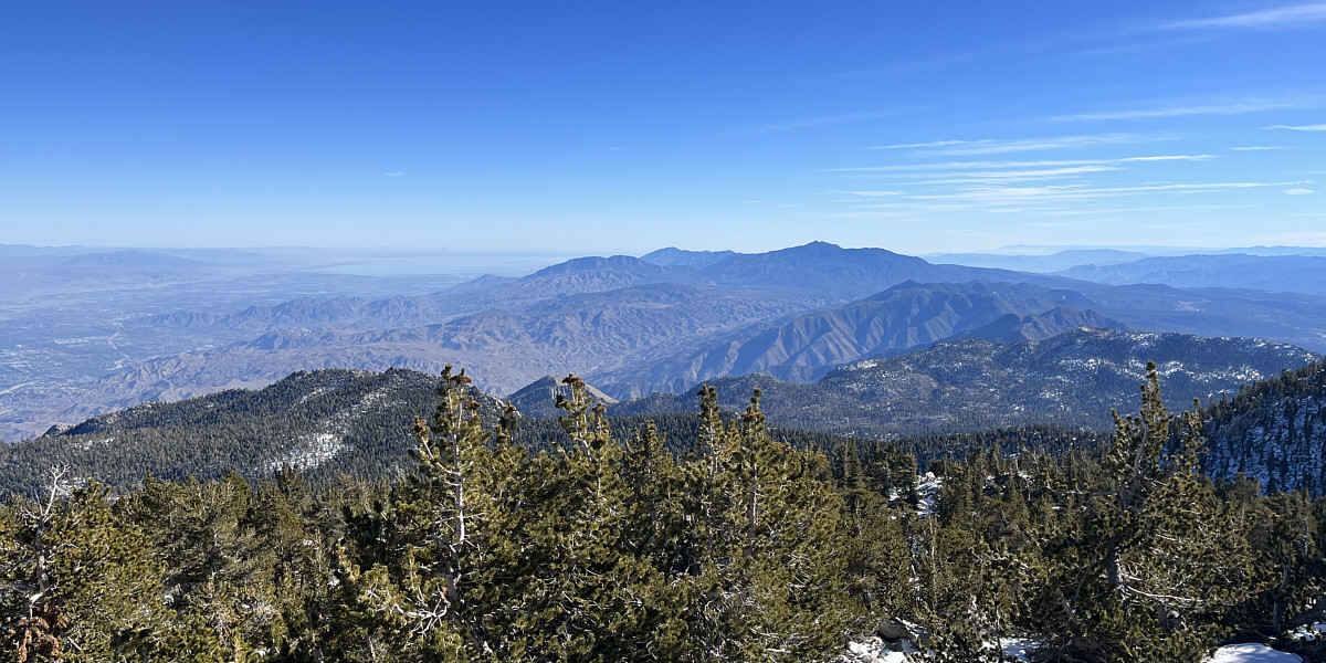 That is one killer rabbit (peak)!