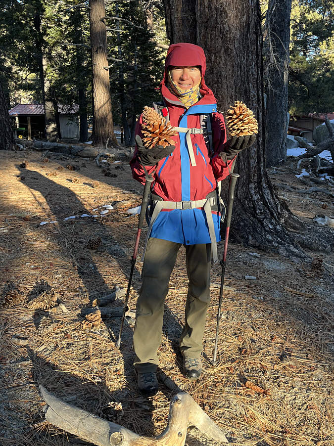 Probably don't want one of these dropping on your head!