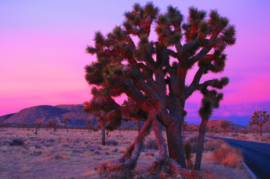 But it's cold outside!