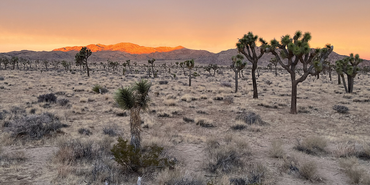 Oh what a beautiful morning!