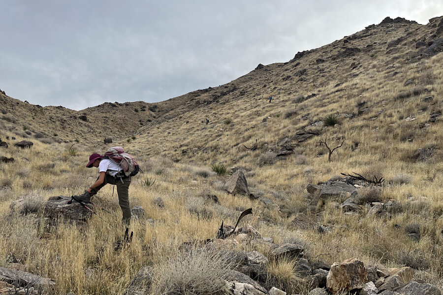 That was a steep drop--good thing we weren't ascending this way!