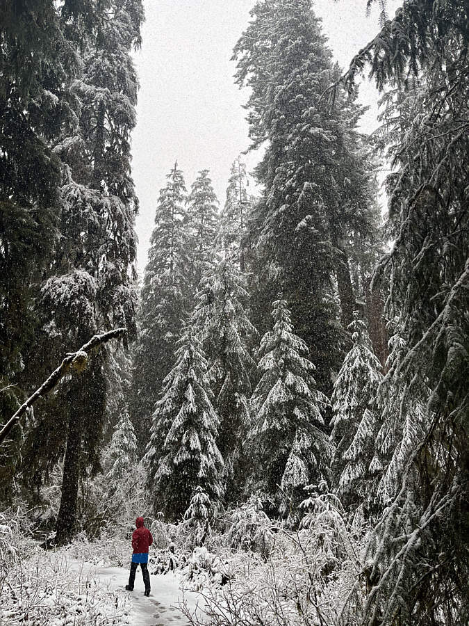 Waterproof boots needed!