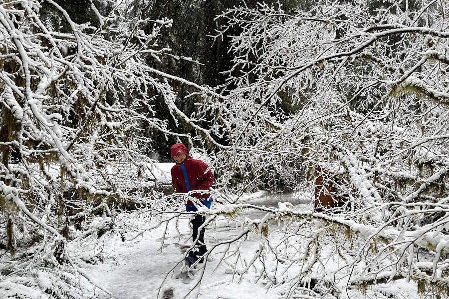 Do the shimmy shake!