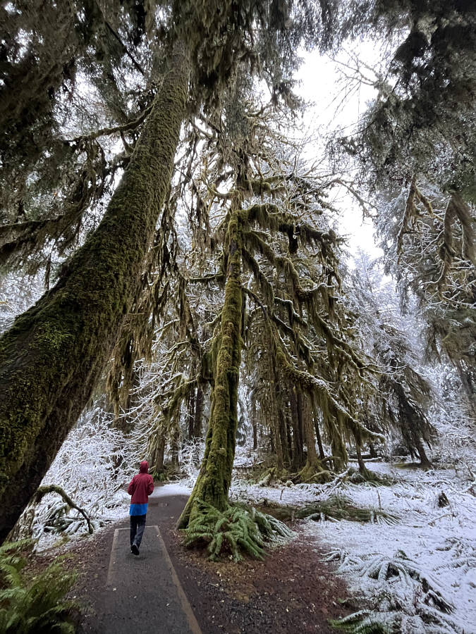 Would be a bit creepy in the dark!