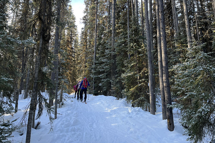 No need for climbing skins...yet!