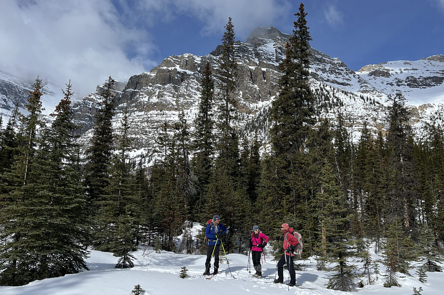 Yep, I'm the slow poke in the group!