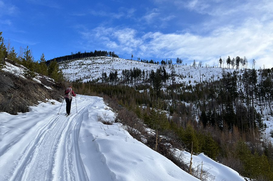 Better than looking at tree trunks the whole way up!