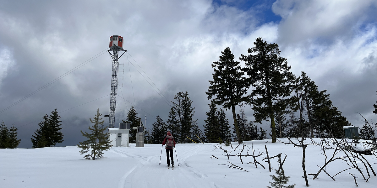 An outhouse with a view even!