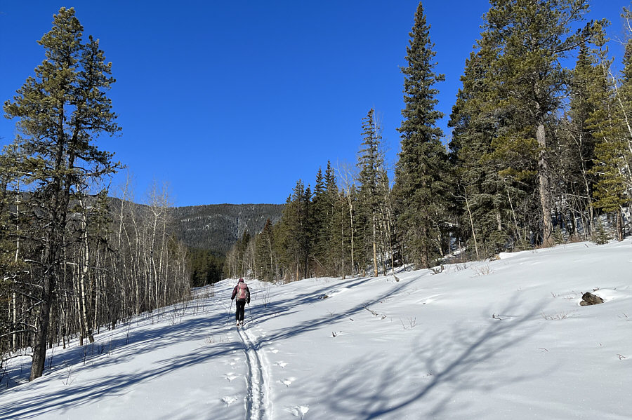 The old ski track was a godsend too!