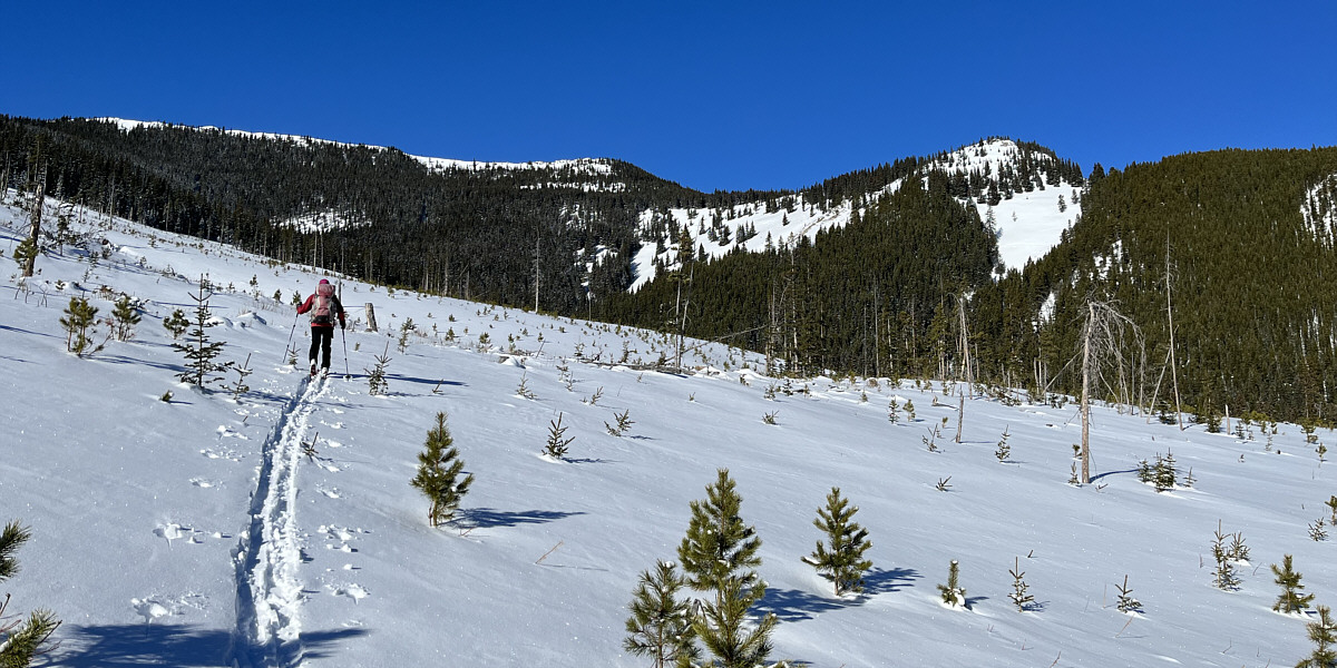 We should have dropped down here to the right to enter the drainage.