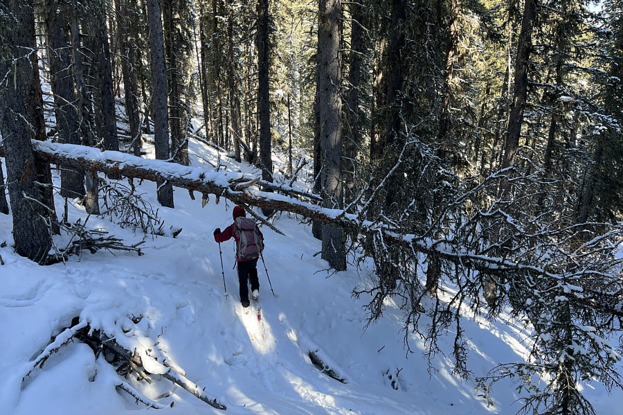 Could have been a lot worse though...